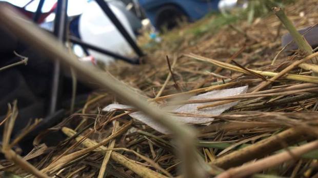 19873783_1525983764143721_335324490_n